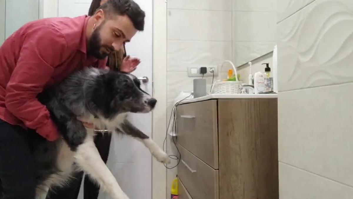 Un dueño ayuda a su perro en Nochevieja