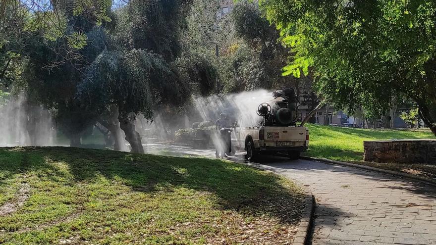 La empresa de control de plagas actúa en el parque de Los Juncos. | A. C.