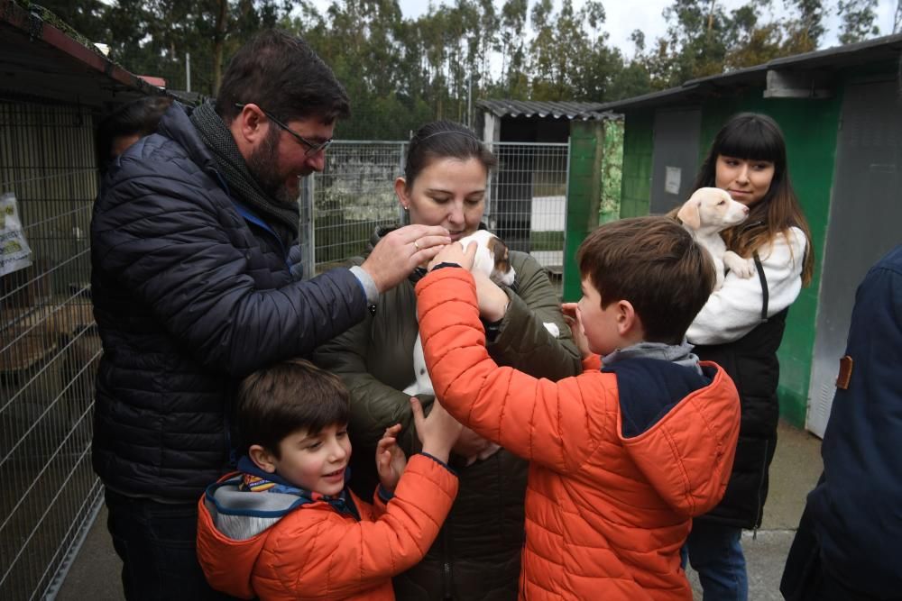 Apadan de Culleredo se consolida como un referente