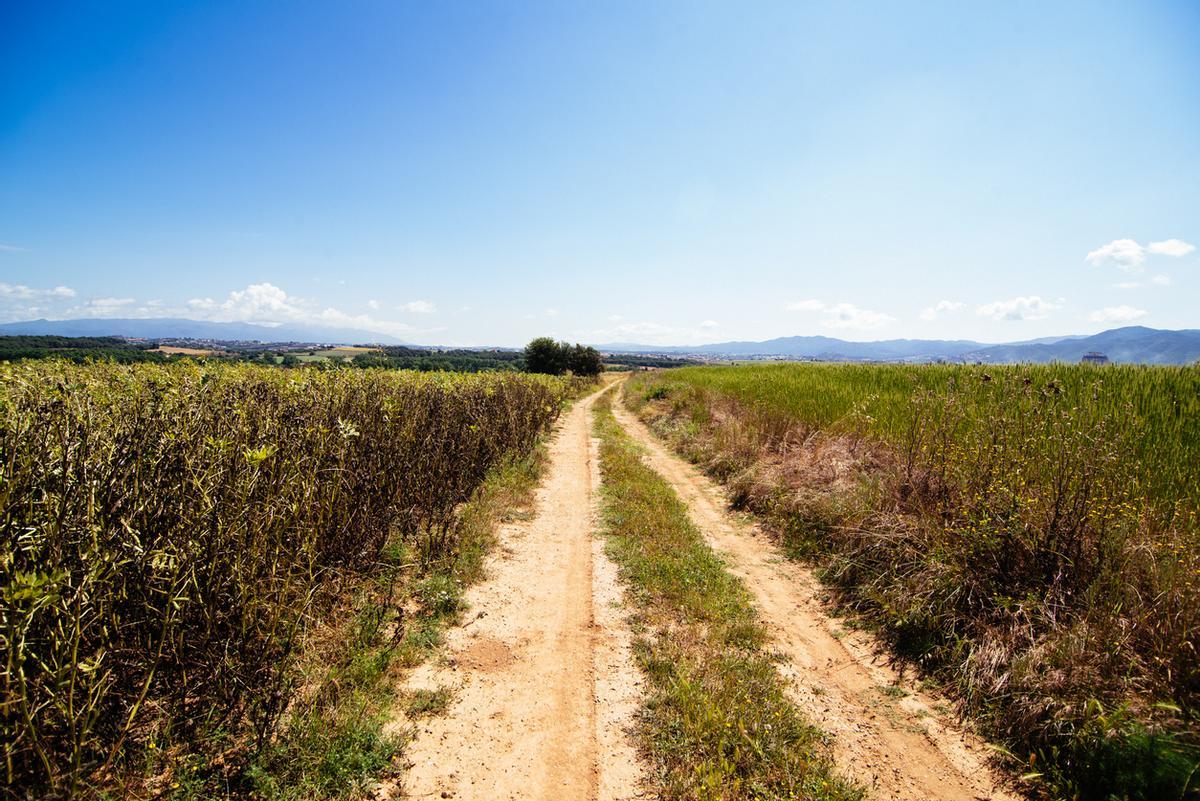 Parque Natural de Gallecs de Mollet del Vallés