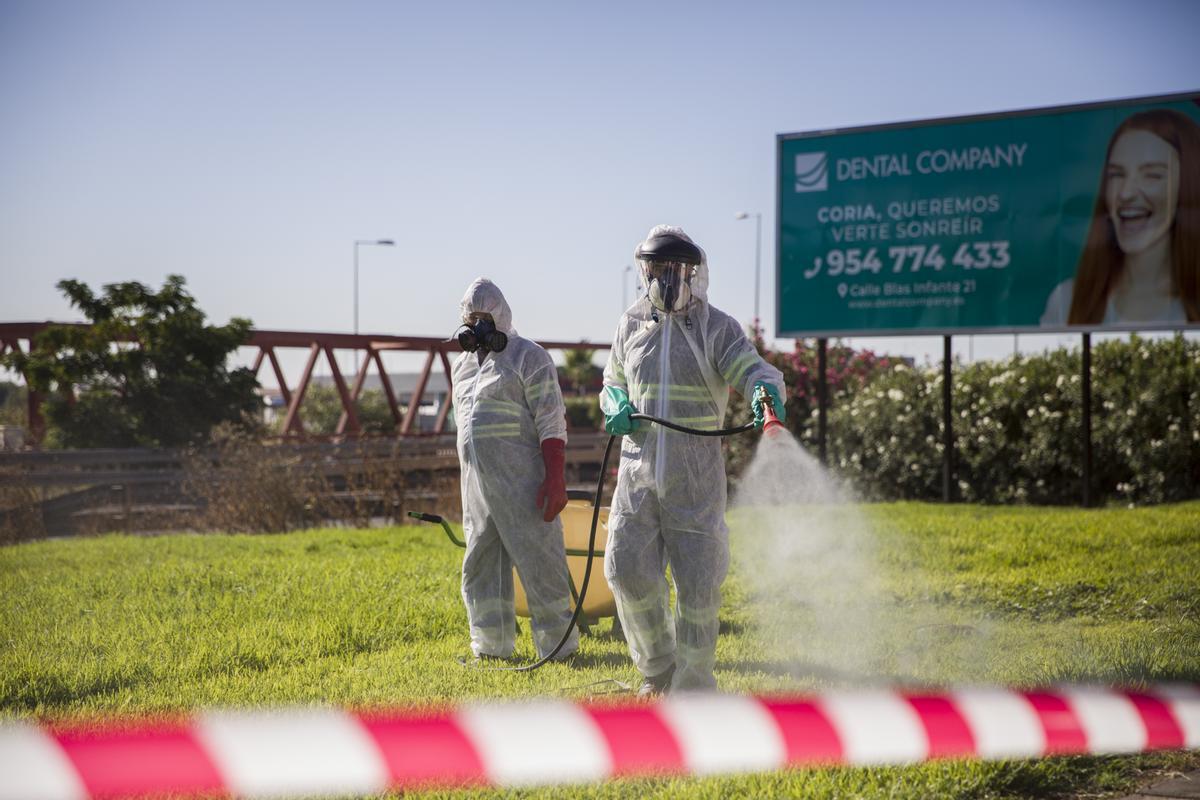 Dos trabajadores durante las labores de fumigación contra los mosquitos causantes del virus del Nilo en Coria del Río, (Sevilla, Andalucía, España), a 17 de agosto de 2020.17 AGOSTO 2020María José López / Europa Press17/08/2020