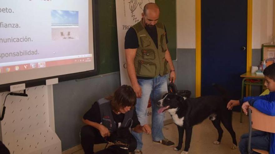 Profesores de cuatro patas en El Romeral