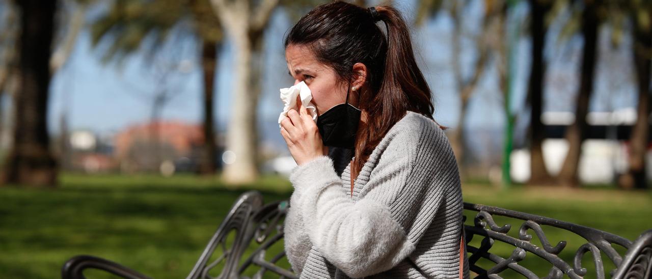 Las alergias a pólenes presentan su mayor prevalencia en la primavera que está a punto de comenzar.