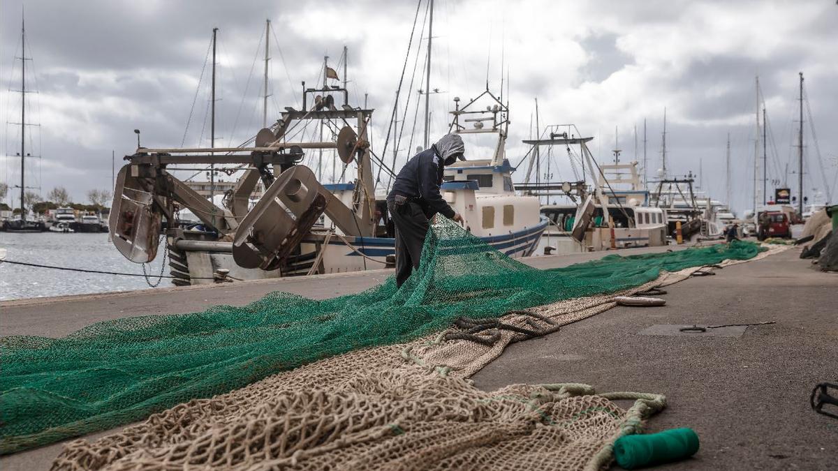 Netze ordnen statt Fische fangen: So sah es am Montag (21.3.) im Hafen von Palma aus.