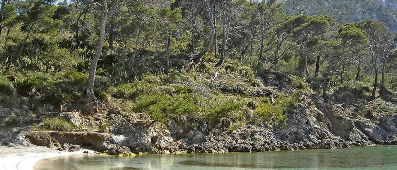 Cap Pinar sigue cerrado a cal y canto.