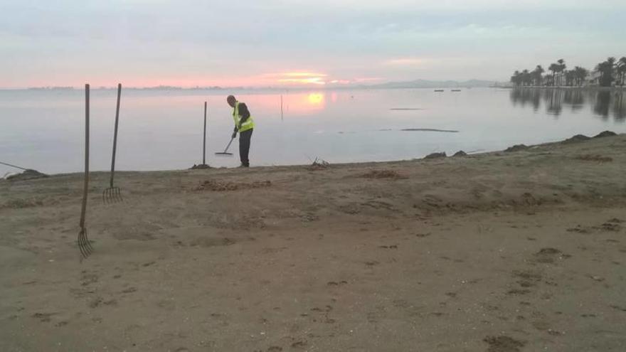 Un técnico realiza labores de limpieza en una playa