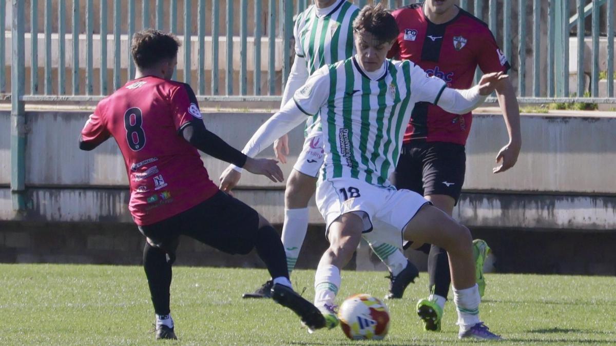 Lance del encuentro entre el Córdoba CF B y el CD Pozoblanco en la Ciudad Deportiva.
