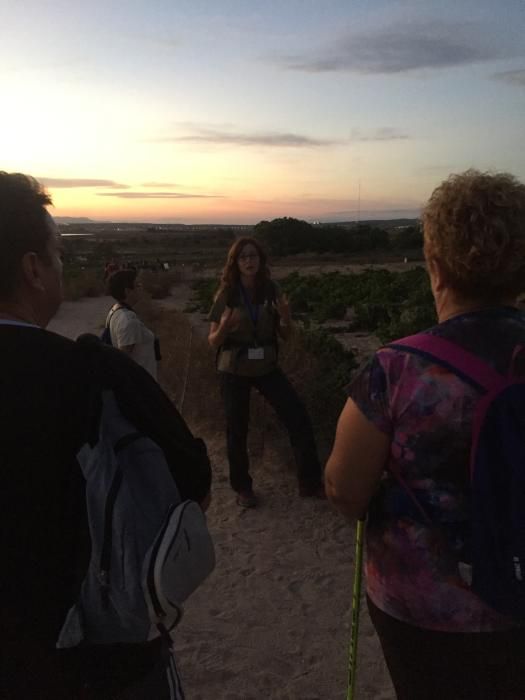 Ruta nocturna por el Parque Natural de Torrevieja