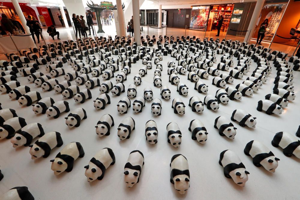 Osos panda de papel maché en un centro comercial de París, en un evento promovido por la WWF. Aproximadamente 1.600 pandas se han exhibido, para recordar que existen casi los mismos pandas viviendo en libertad actualmente.