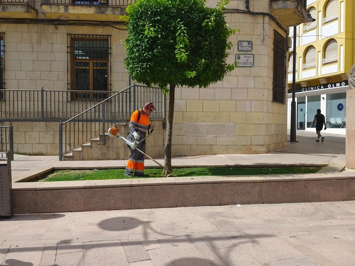 Un empleado trabaja en una zona ajardinada del centro de Lucena.