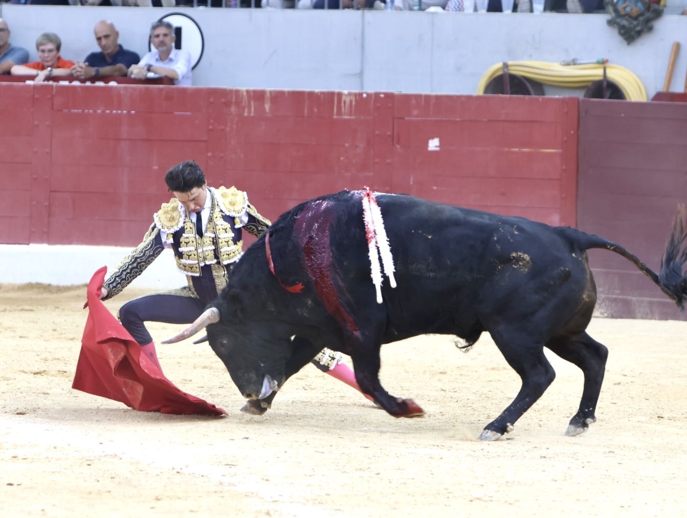 Las imágenes de la vuelta de los toros a la plaza de Villena