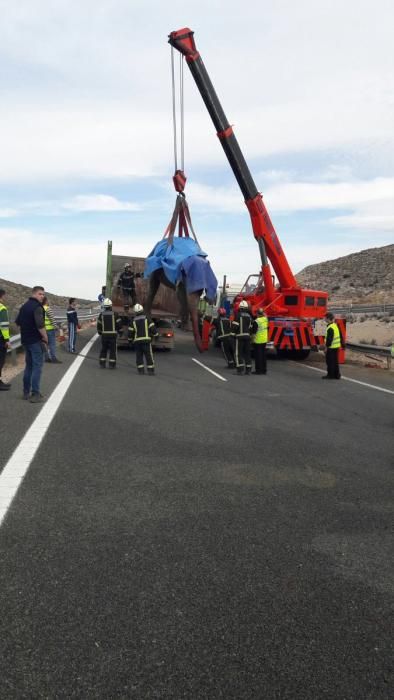 Un camió amb elefants bolca a Albacete