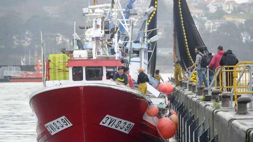 Marineros del cerco se preparan en el puerto de A Coruña para salir a faenar.