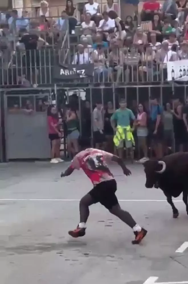 Embestida a un joven en las fiestas de la Font de la Figuera