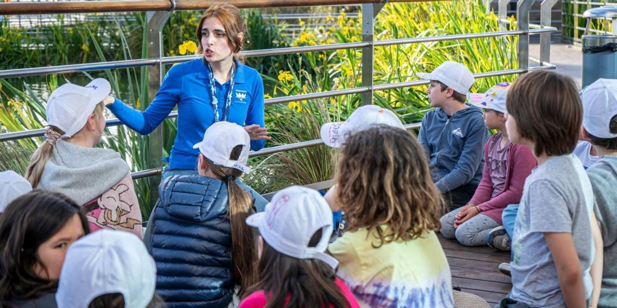 Escolars durant un dels tallers de la Setmana de la Ciència. | LEVANTE-EMV