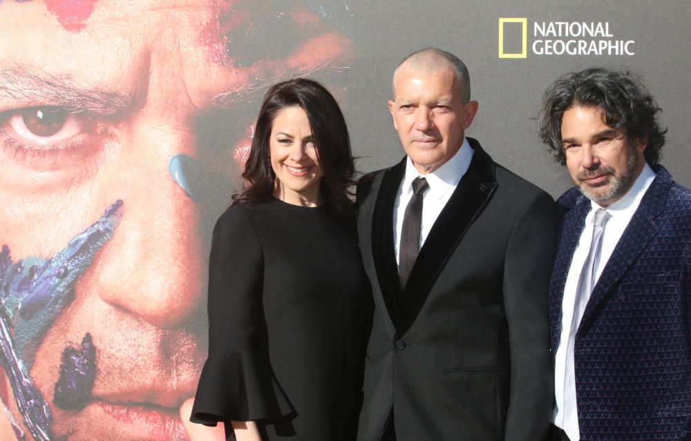 La segunda temporada de la serie documental en la que Antonio Banderas da vida a Picasso celebra su pre estreno en Málaga.