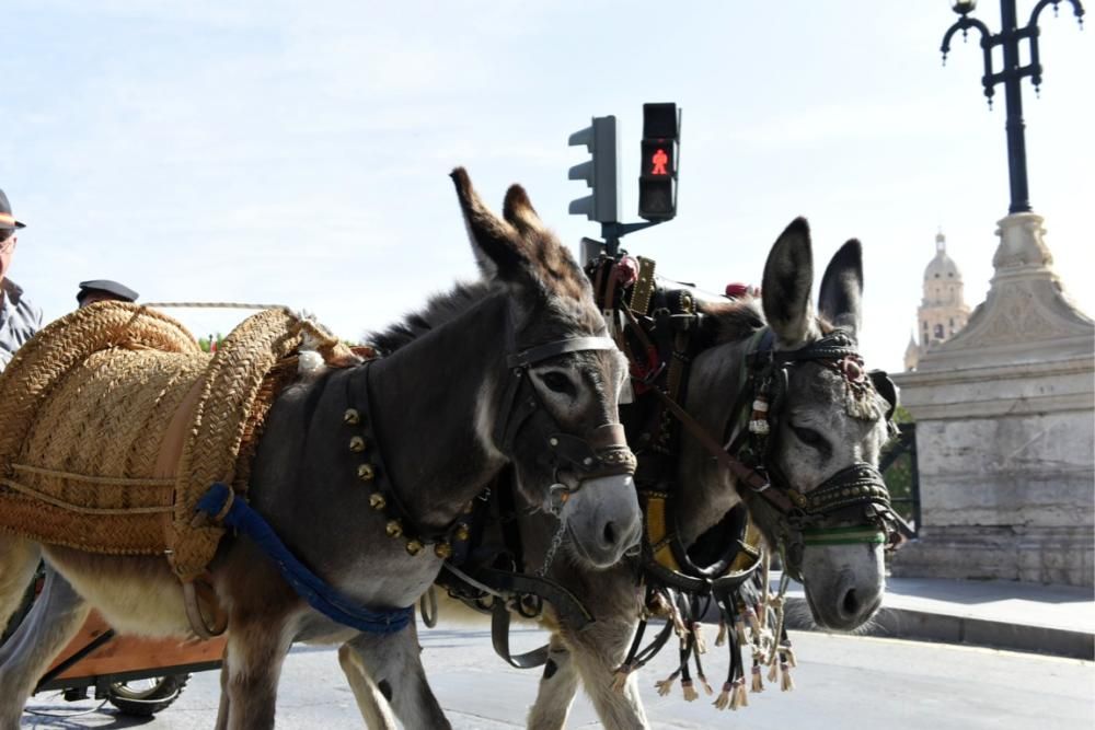 Ruta en carro al corazón de la Huerta