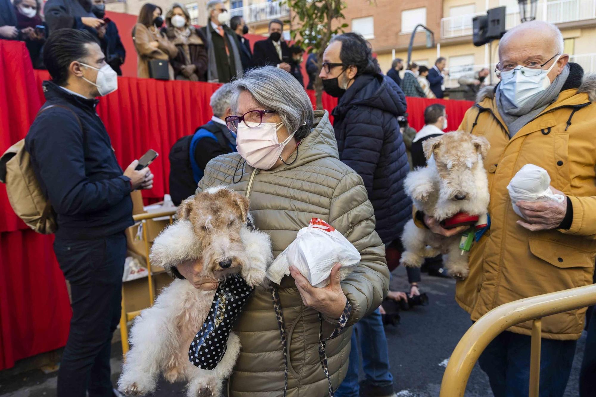 Búscate en la bendición de animales de Sant Antoni