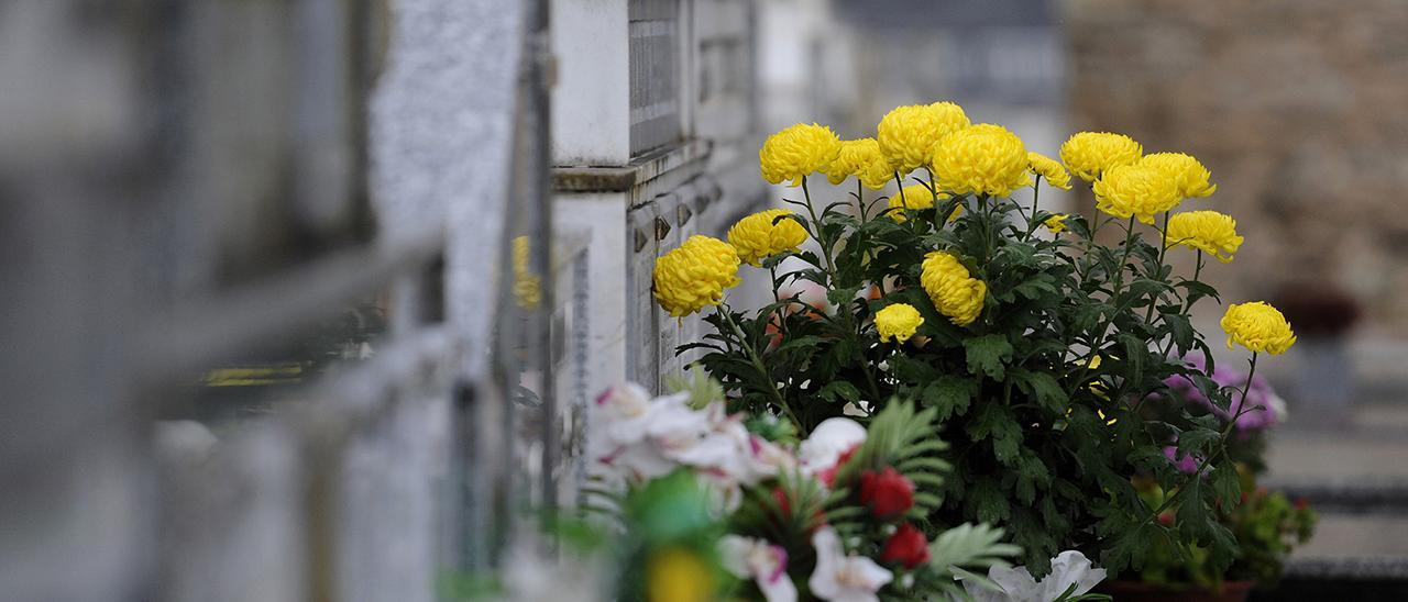 Flores en el cementerio viejo de Lalín el pasado mes de noviembre