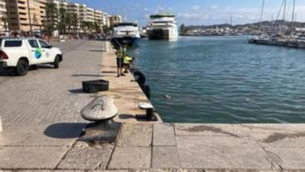La APB inicia la mejora de un tramo del puerto de Ibiza