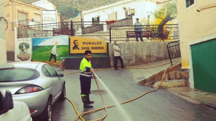 Las plagas de insectos se multiplican en el cinturón de la Sierra de Orihuela