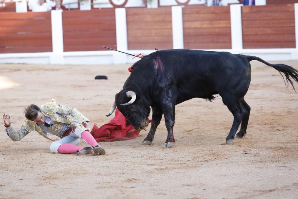 Así fue la cogida del novillero José F. Molina