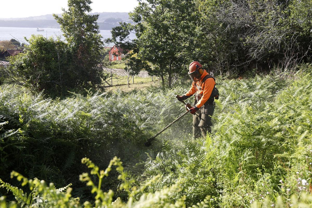 Un trabajador realiza trabajos de desbroce en una finca (imagen de archivo)