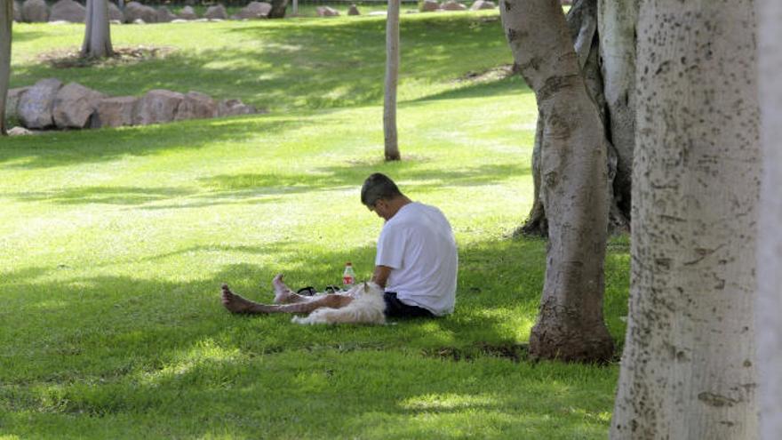 Moderado descenso de las temperaturas este jueves en Canarias