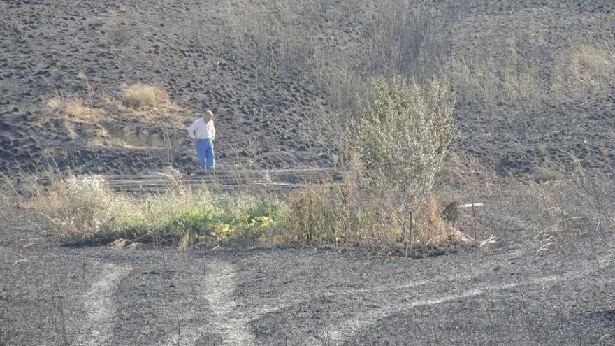 Un agricultor observa los efectos del incendio en Colinas.