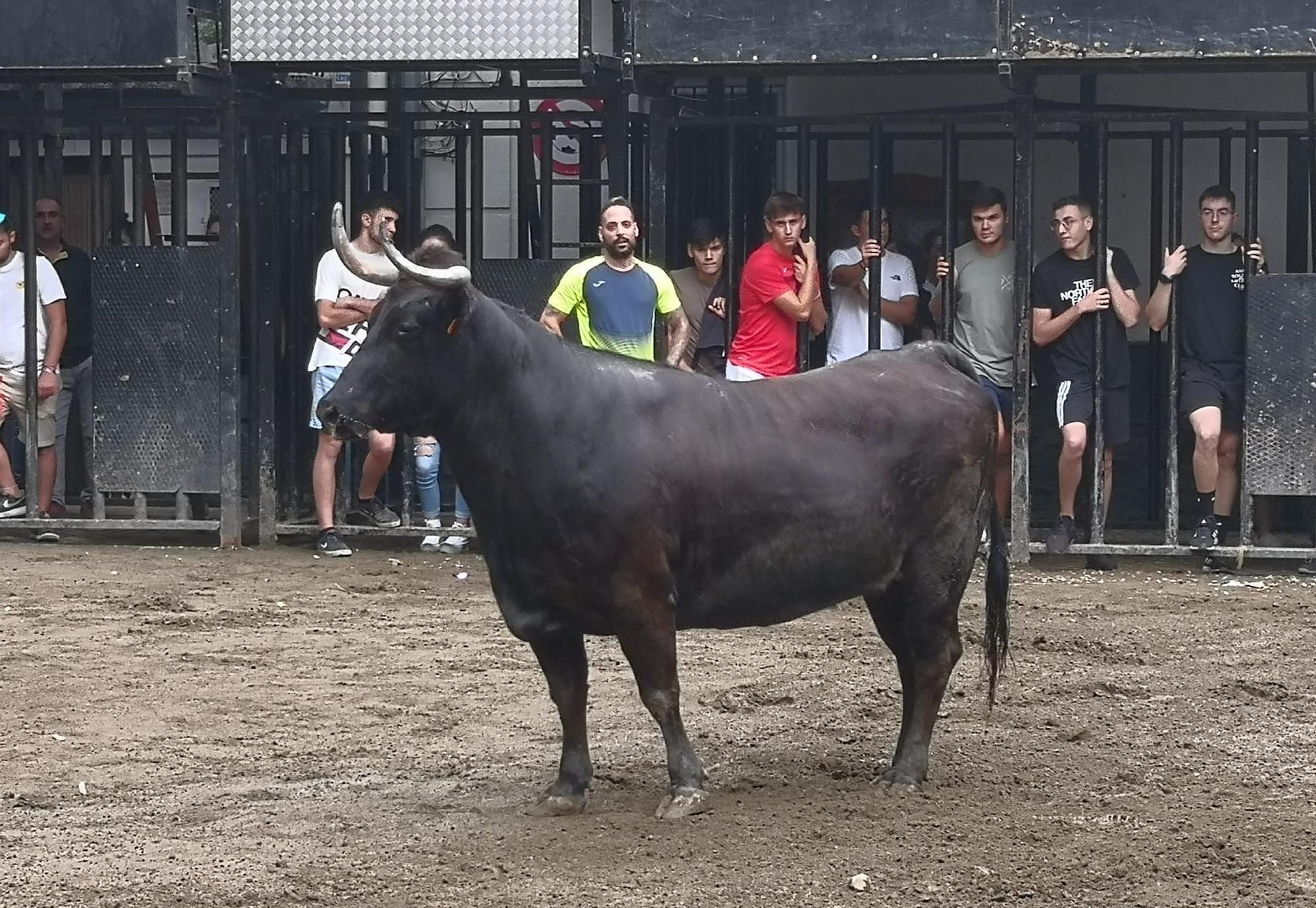 Navajas despide su semana taurina