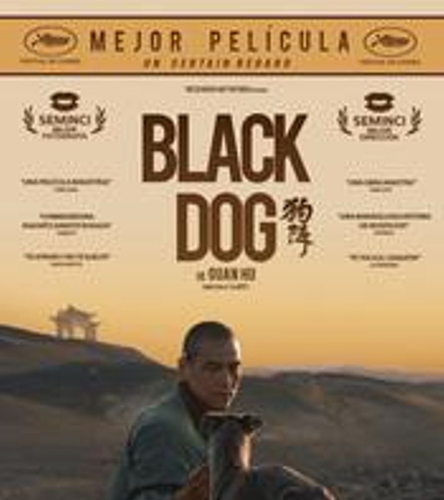 Black Dog