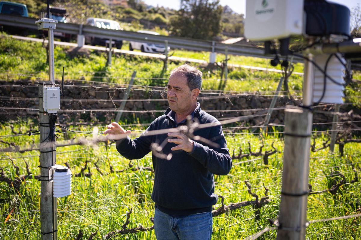 Implementación de la Inteligencia Artificial en la producción de bodegas Viñátigo