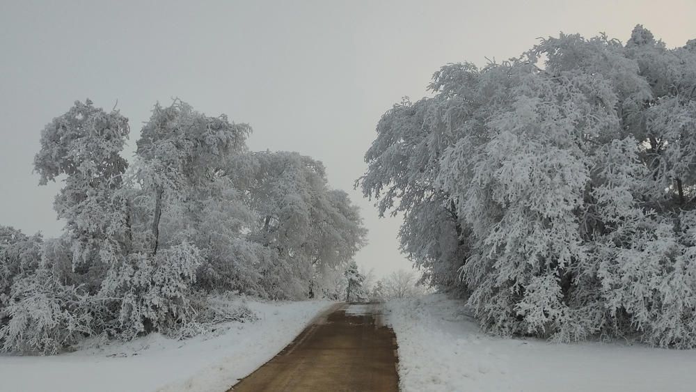 Paisatge sibèrià amb una temperatura de -7°C a Riner.