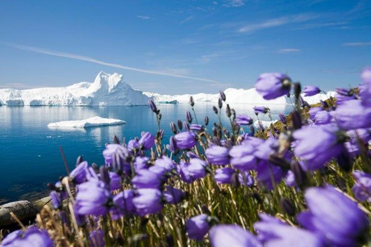 Iceberg en el glaciar Jacobshavn, el mayor del oeste de Groenlandia.