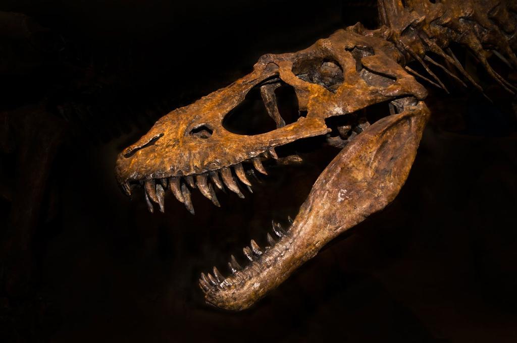 Imagen de la reconstrucción de un T-Rex