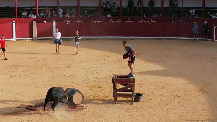 Tradición taurina regada con tinto de Toro