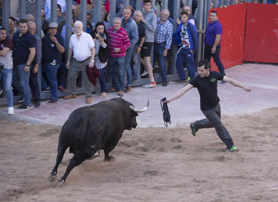 Toros y homenaje a la Tercera Edad en las fiestas de Vila-real