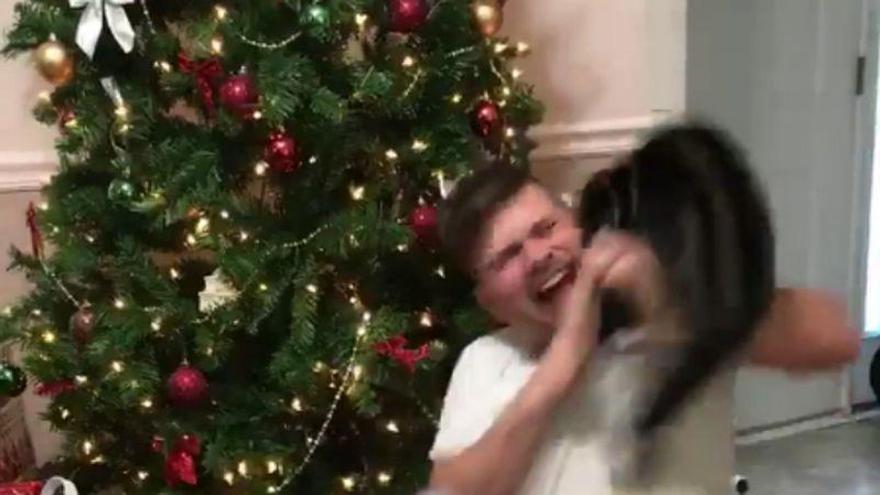 El vídeo del ataque de un gato a un joven se vuelve viral
