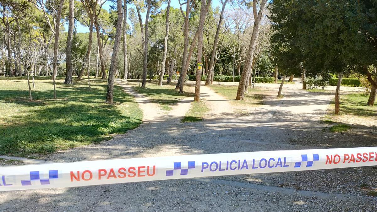 El vent obliga a mantenir tancat l'accés al Parc Bosc de Figueres