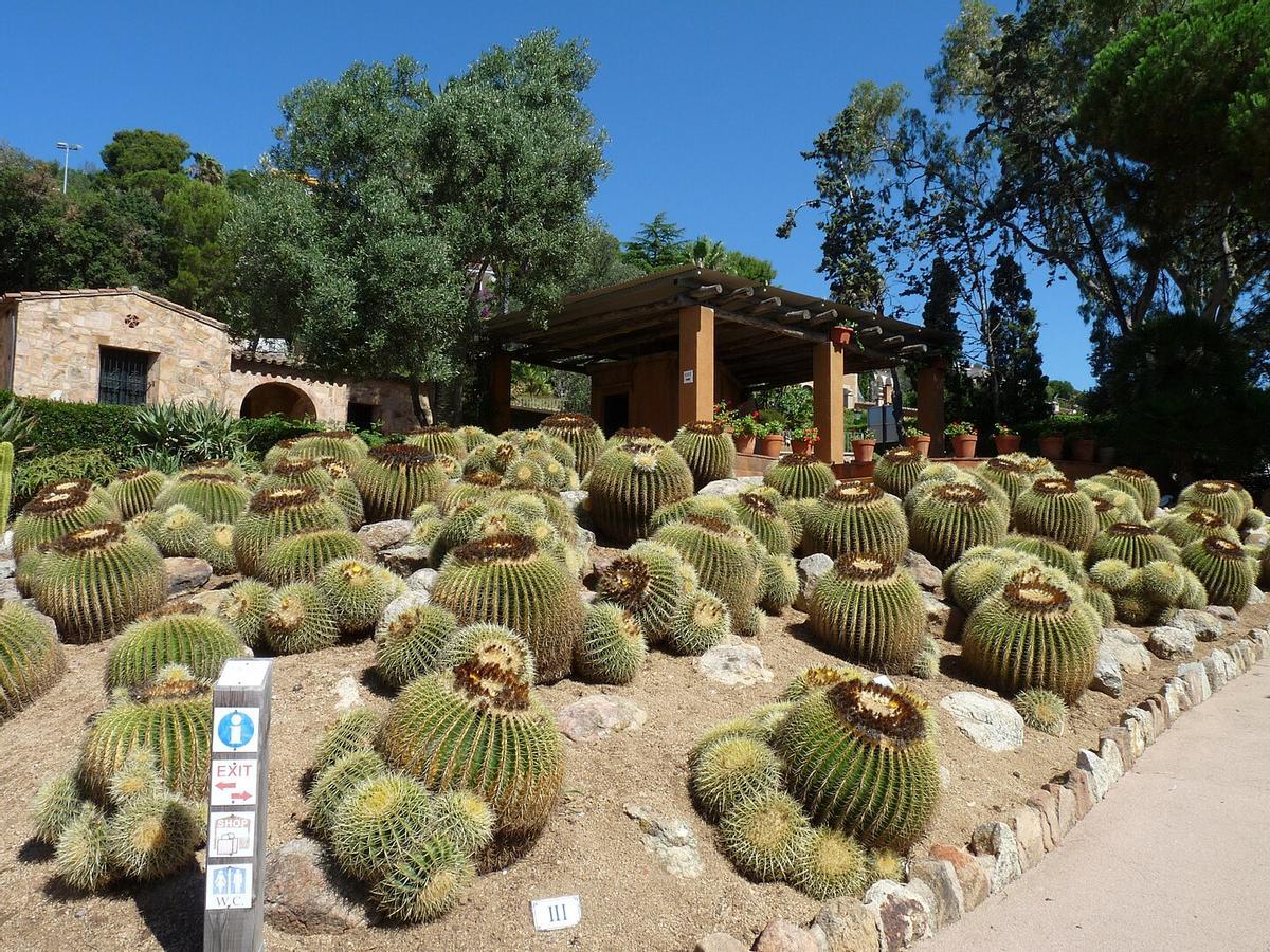 Jardín botánico Pinya de Rosa.