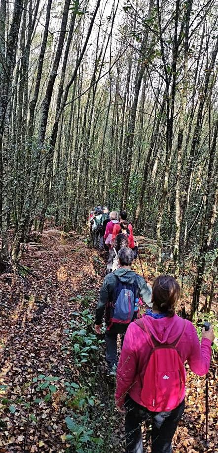 Paso pola devesa de Ermida.