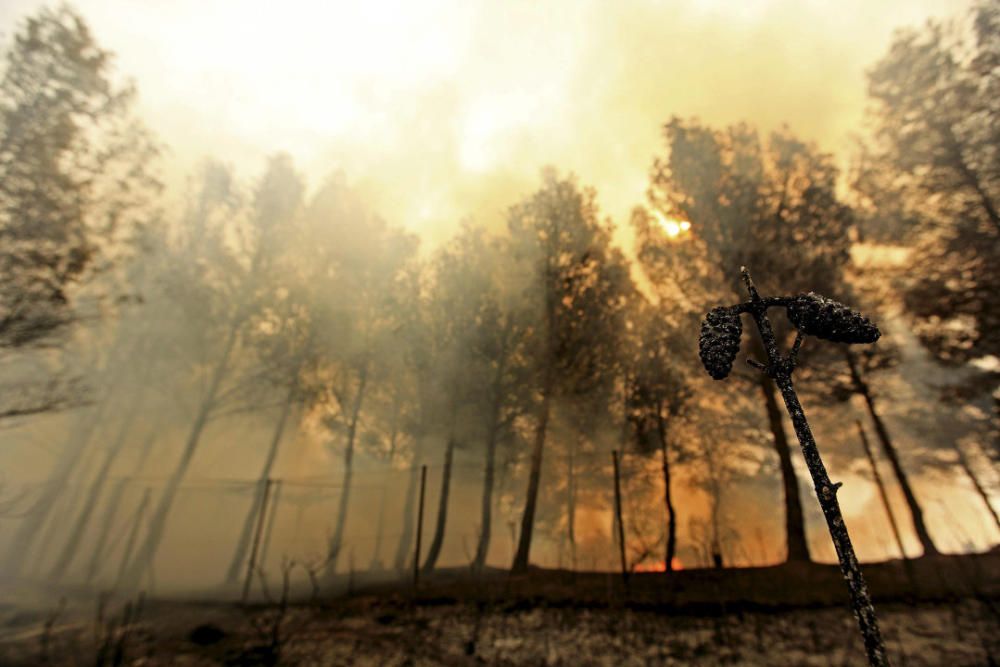 Andilla: ocho años desde su gran incendio