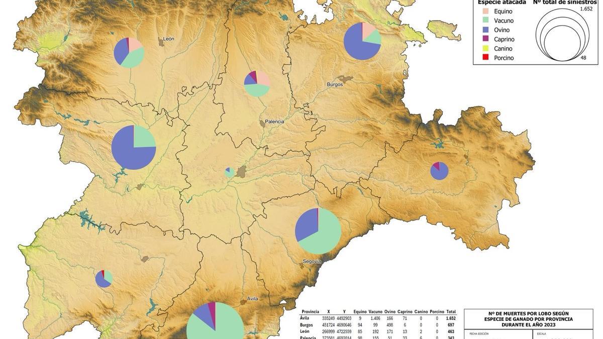 Mapa de los ataques del lobo.