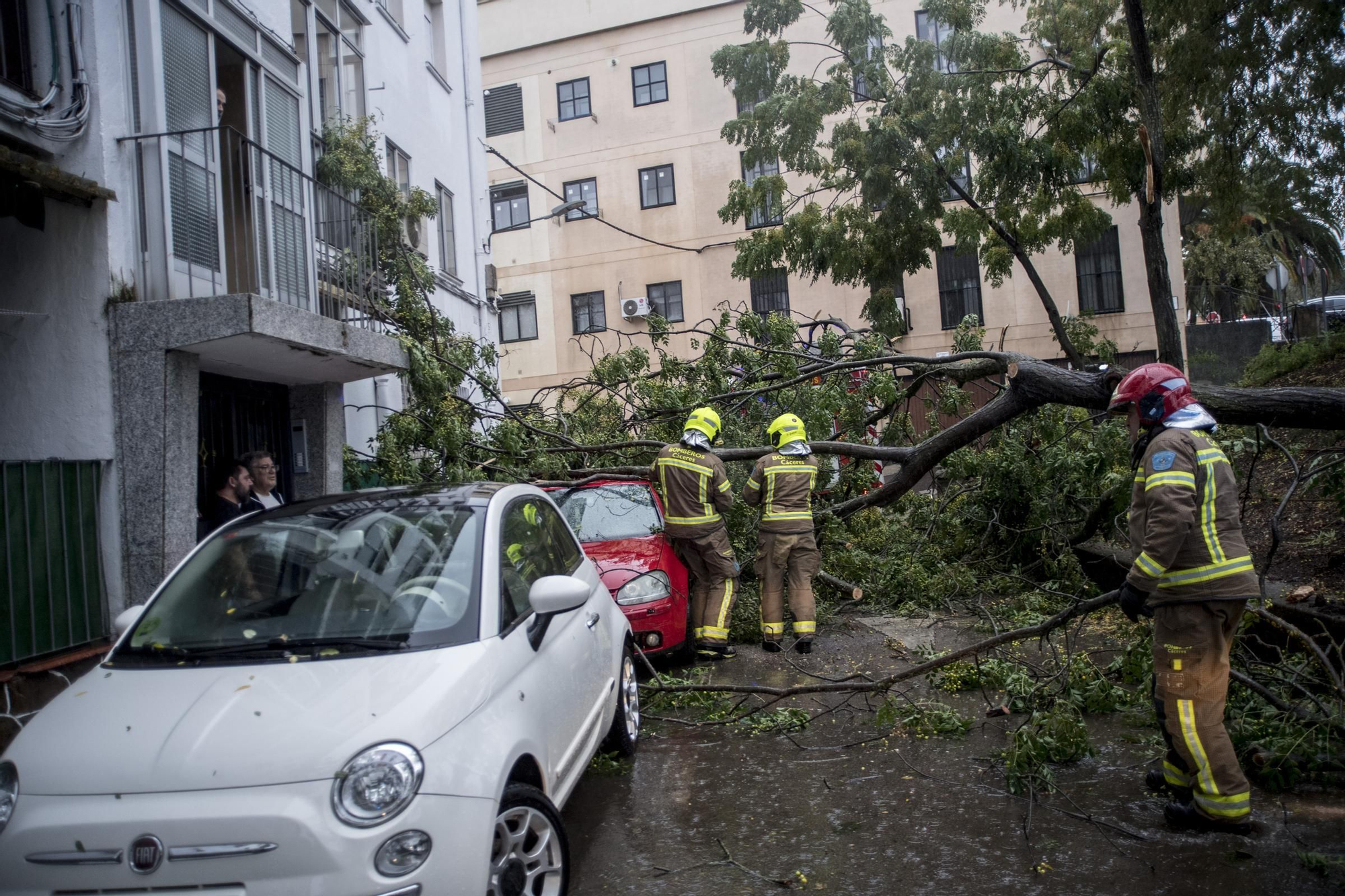 Fotogalería | Así afecta el temporal de lluvia y viento en Cáceres