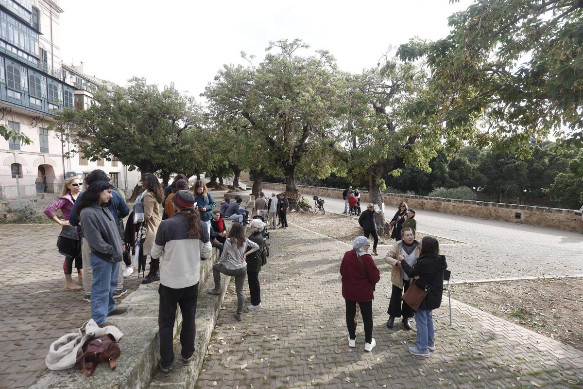 251214DMA MANU MIELN (228535146)