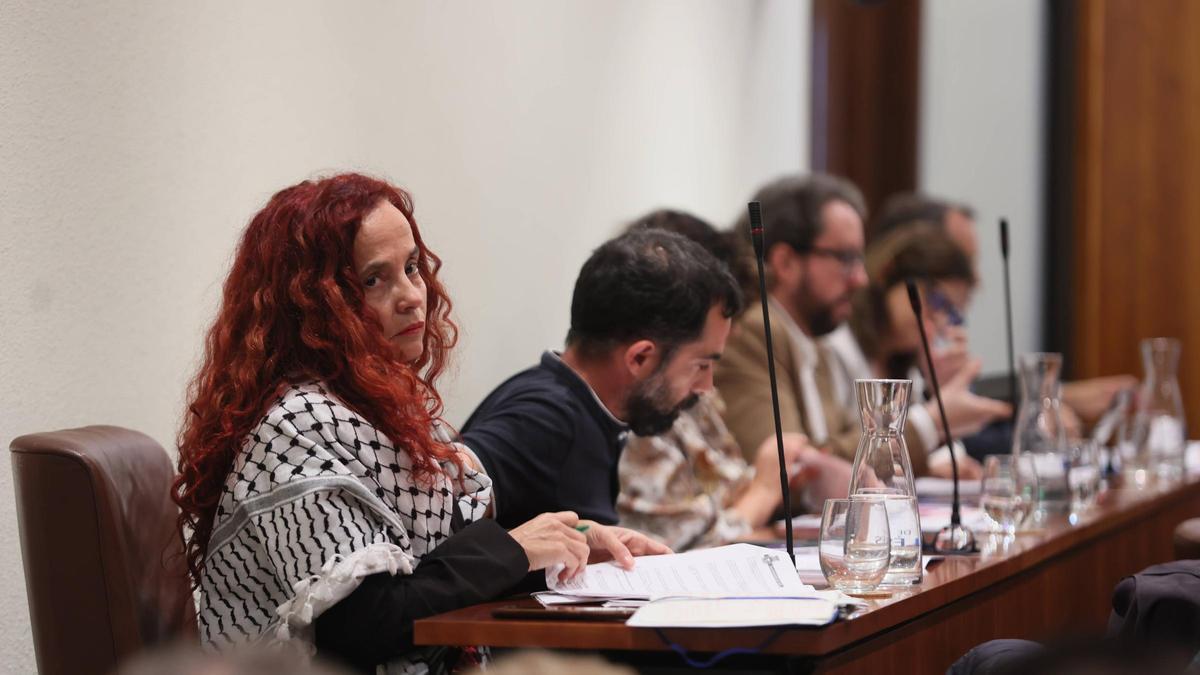 Ana Solís en la bancada.