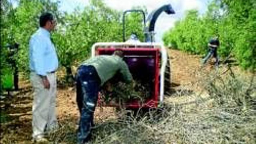 La muestra agrícola atrae a cientos de agricultores