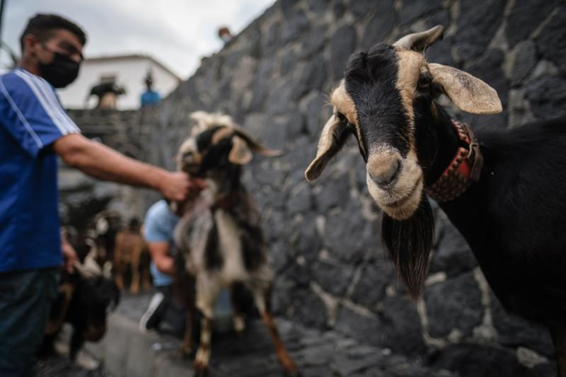 Baño de las Cabras en el Puerto de la Cruz