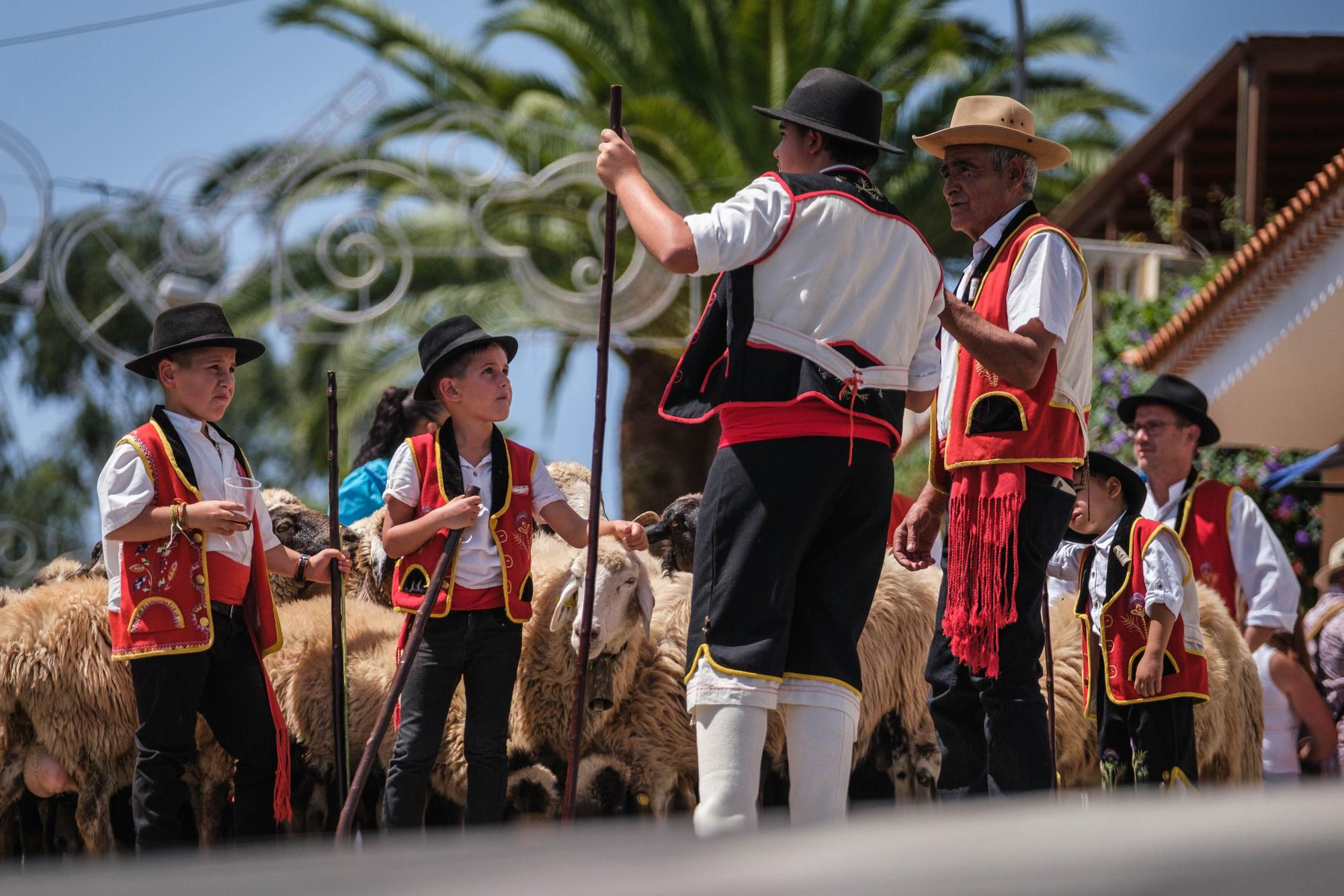 Romería de La Esperanza