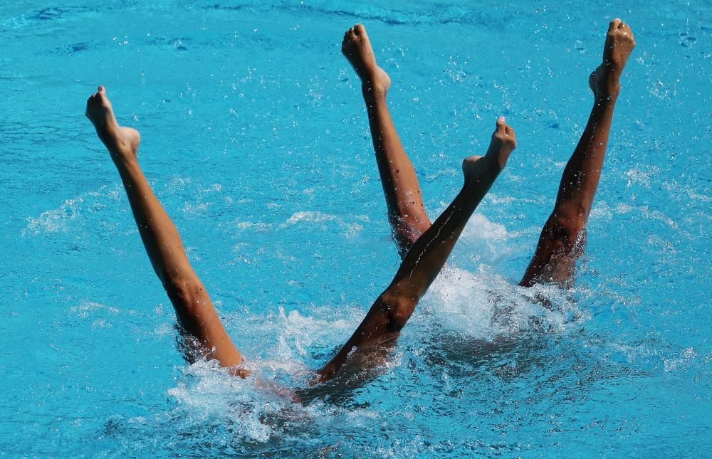 Las mejores imágenes de la natación sincronizada de este lunes 15 de agosto